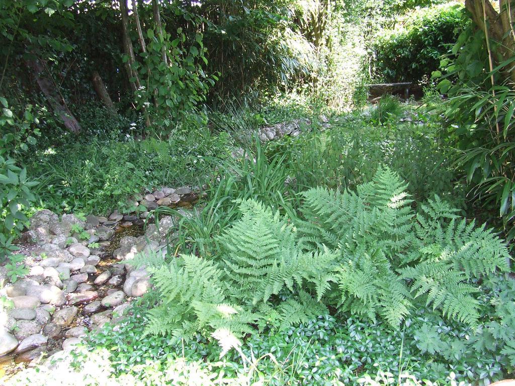 B&B 'T Nije Huus Schoonoord Buitenkant foto